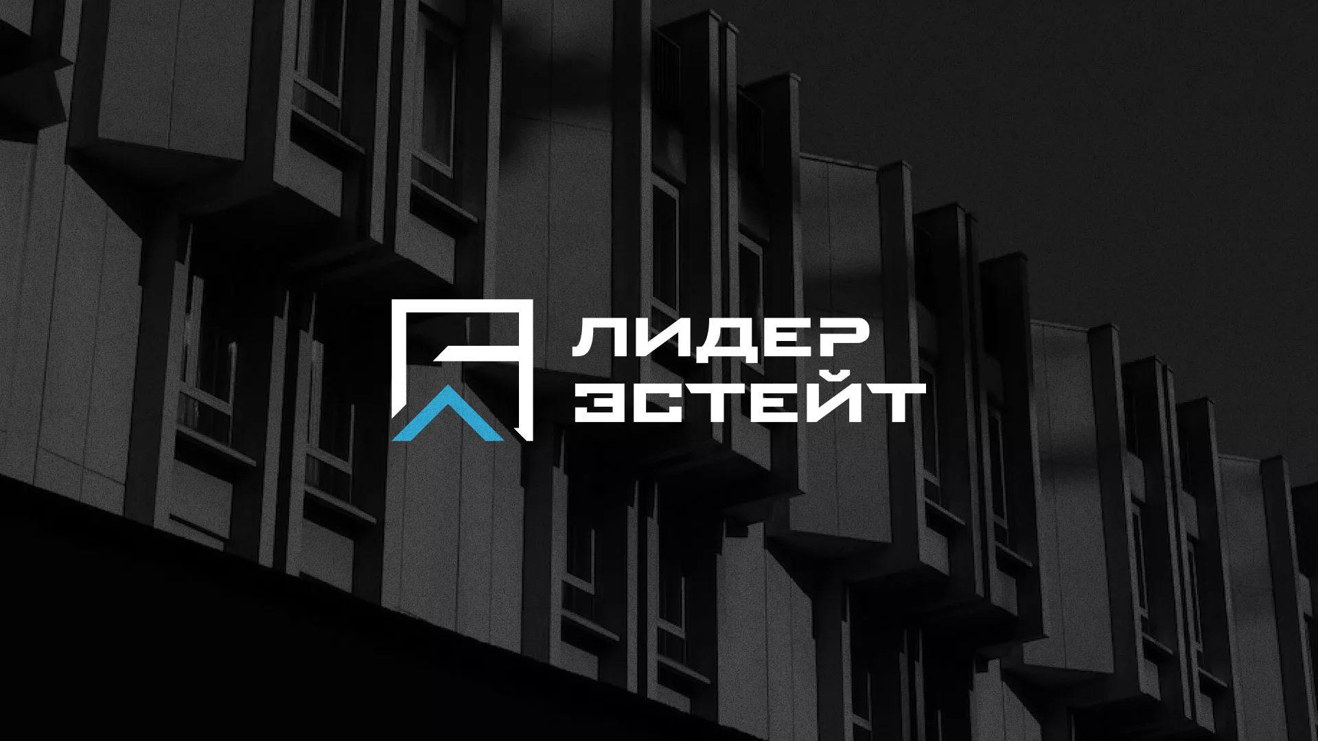 Разработка логотипа агентства недвижимости «Лидер Эстейт» в Юрьевце